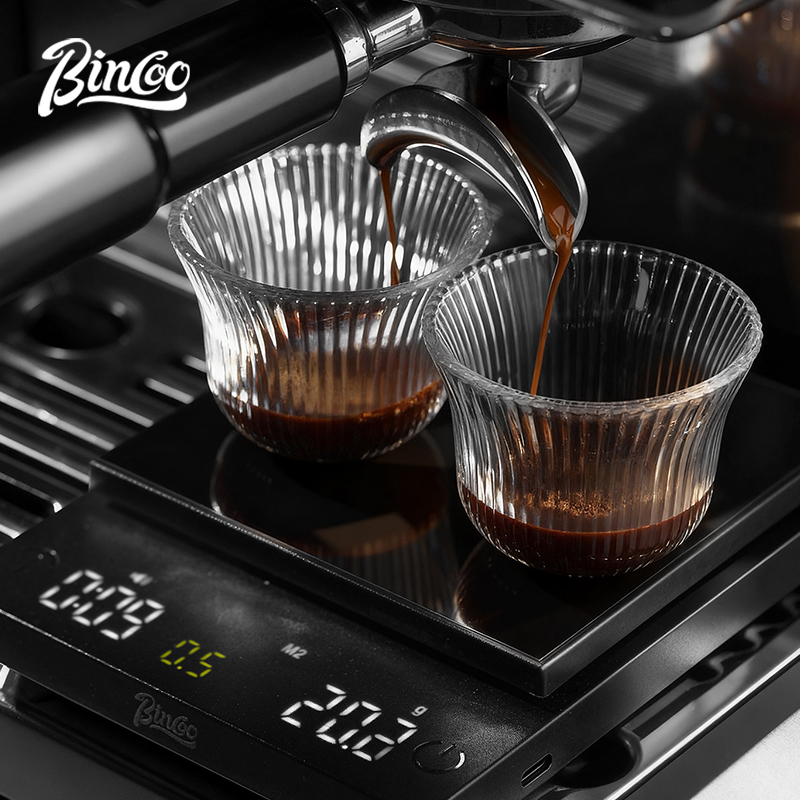 Balança Digital para Café BINC - Scale Drip Timer avaliação e preço